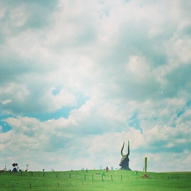 Steer ing through South Dakota