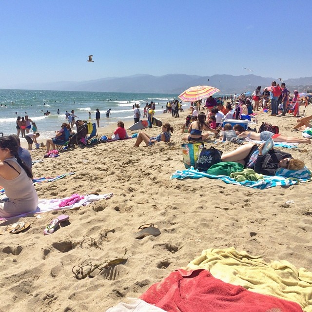 Masses of Santa Monica