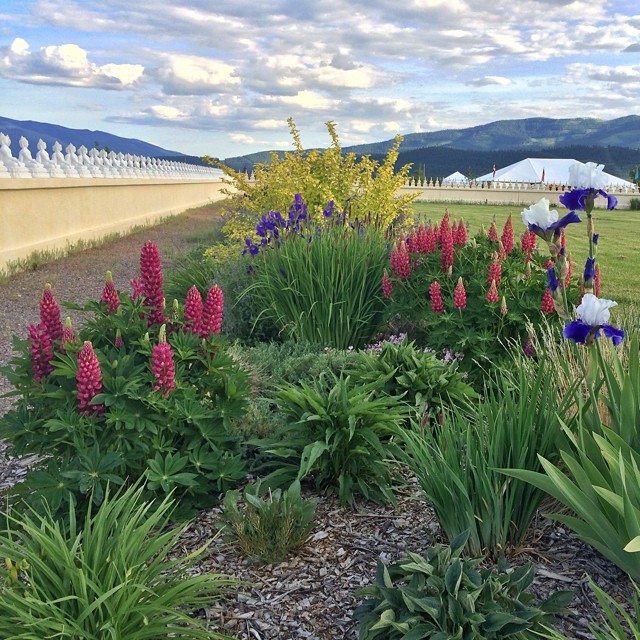 And then there was the gardens.