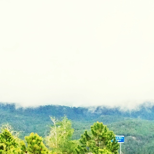 Fog rolling in over the Black Hills #southdakota #mtrushmore #blackhills