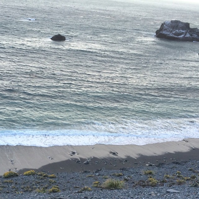 Whale and Rock (guess which is which)