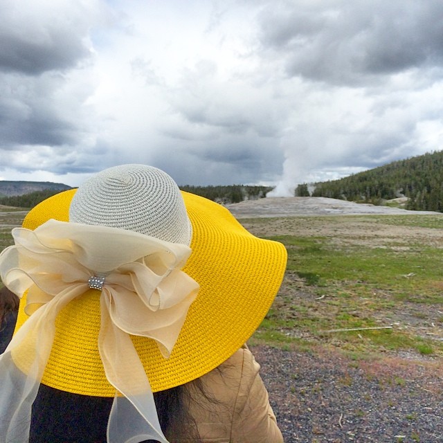 Yellow Hat at Yellowstone (one more from the park)