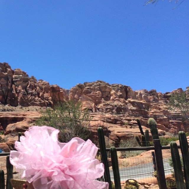 Pink Fluffy Badlands