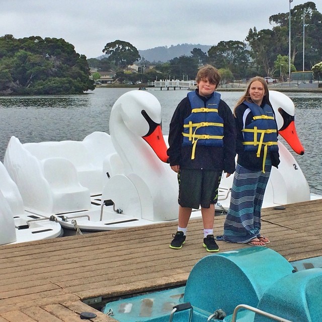 Paddle Boat Swan (because in Monterey regular paddle boats aren't enough)