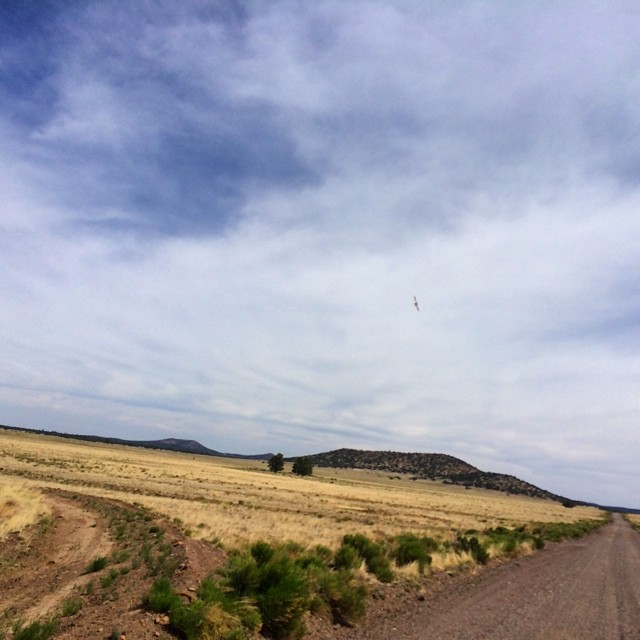 Today we head to the southern rim of the Grand Canyon