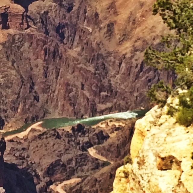 A River Runs Through it. #grandcanyon