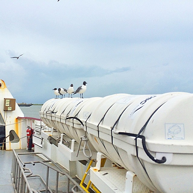 After our morning in Galveston we head for the ferry towards New Orleans.