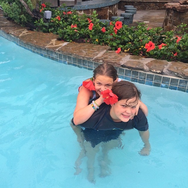 Hibiscus Horseplay at the Hotel Pool