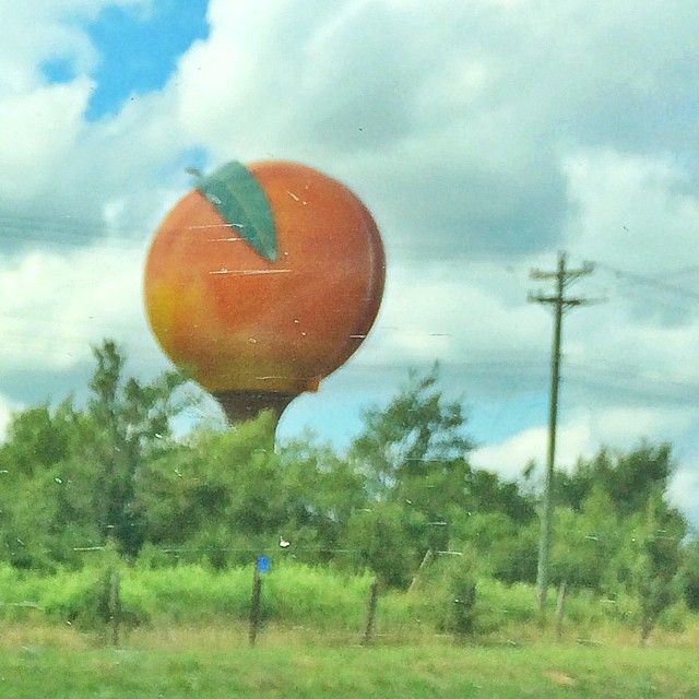 Things look peachy from here. (Couldn't help myself.)