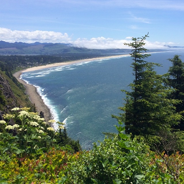 The Pacific along the Oregon Coast