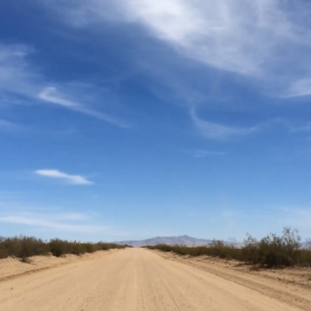 Kris' very scary no cell service dirt road 100 degree Short Cut. #mohabe #mohabedesert #mohabedeserttumbleweed #tumbleweed