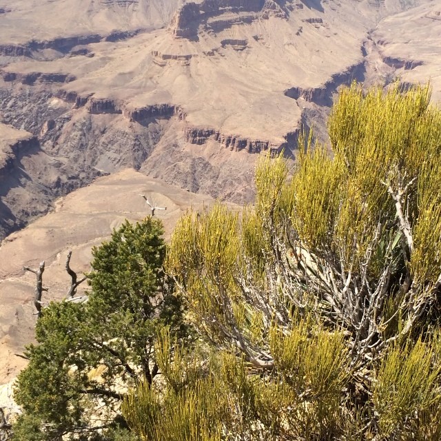 #grandcanyon wind