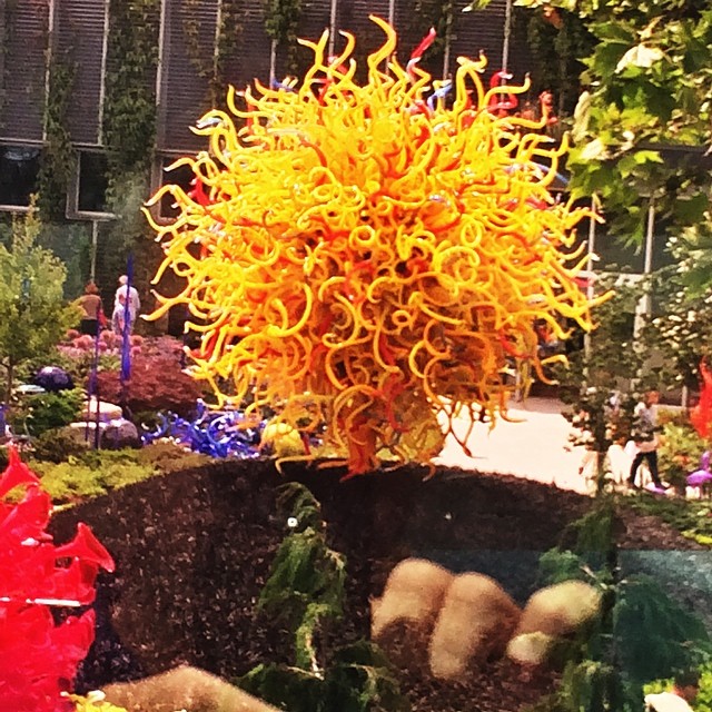 #chihuly is bug in #seattle #washington like it is in #clt #northcarolina