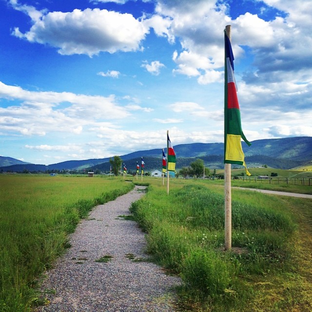 Pathway to the Garden of One Thousand Buddhas