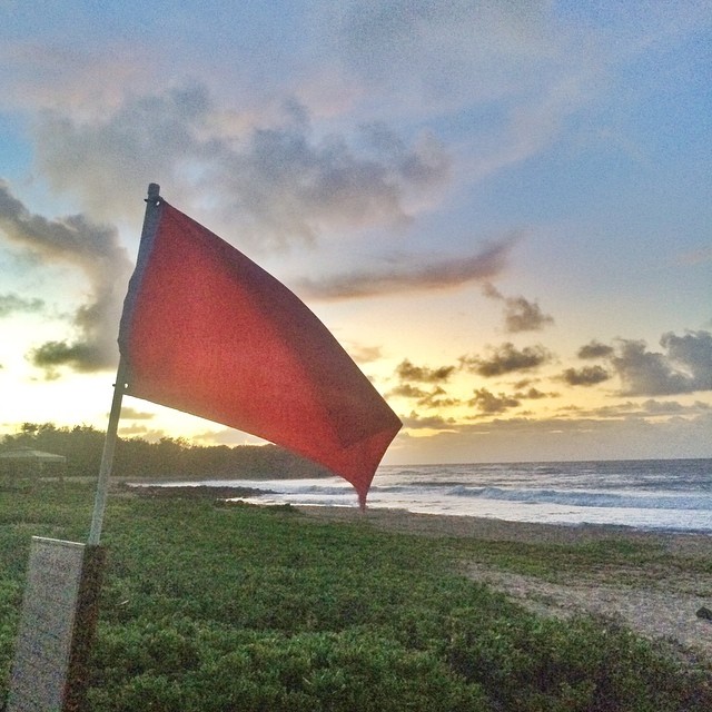 Greetings Iselle