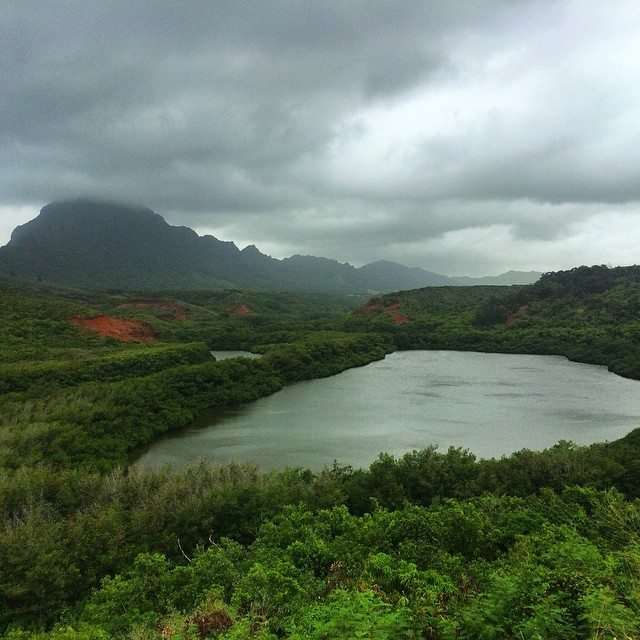 Kauai Landscape