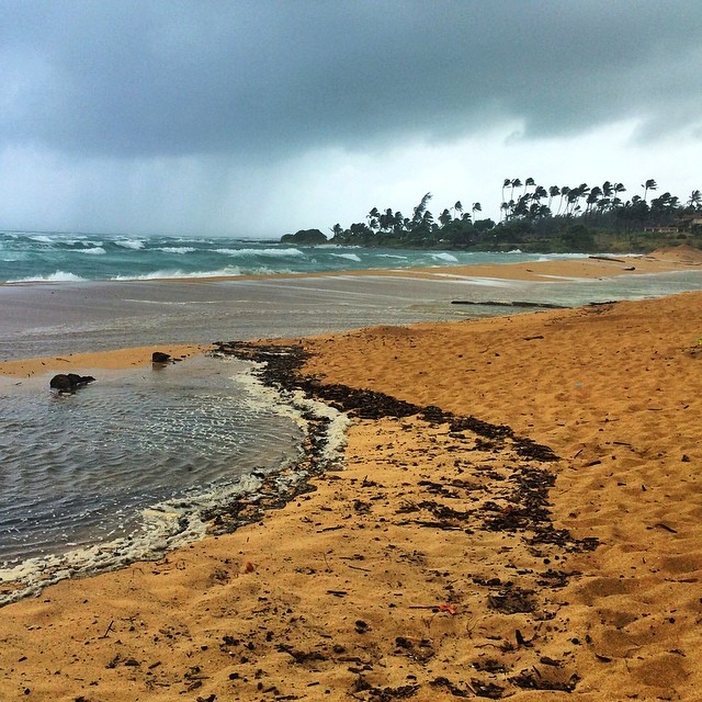 Sightseeing with Iselle