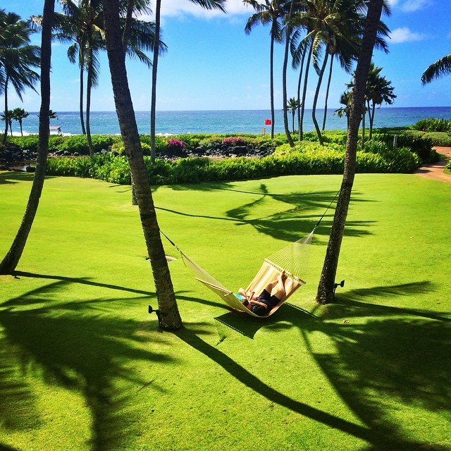 Hanging in the Hammock