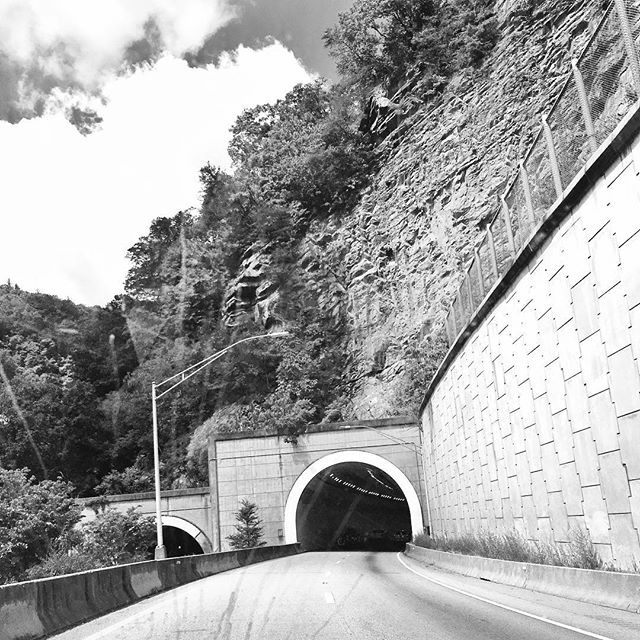 TUNNEL! (It has occurred to the adults in the car that they get more excited about the tunnels than the younger members.)