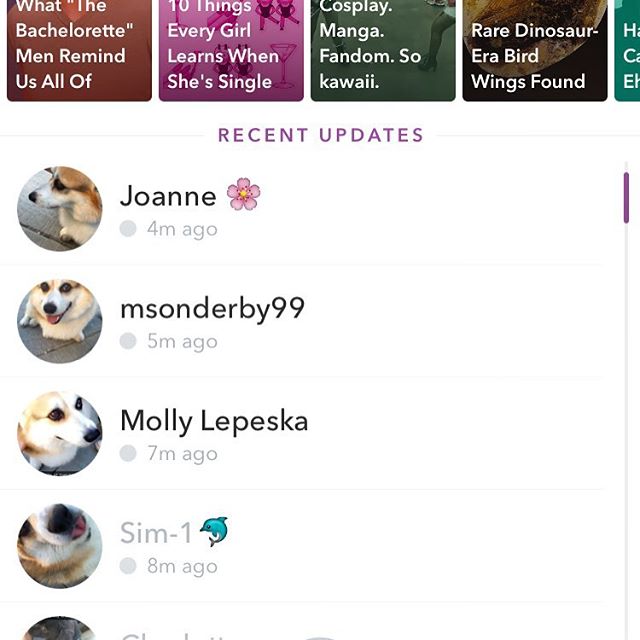He even made it on to everyone's Snapchat