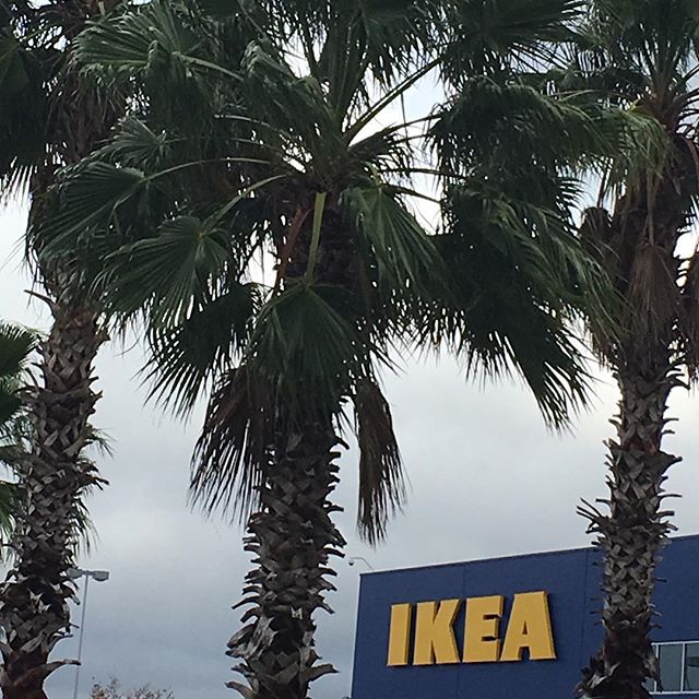 Our new adopted IKEA has palm trees and is 15 miles from Disney.