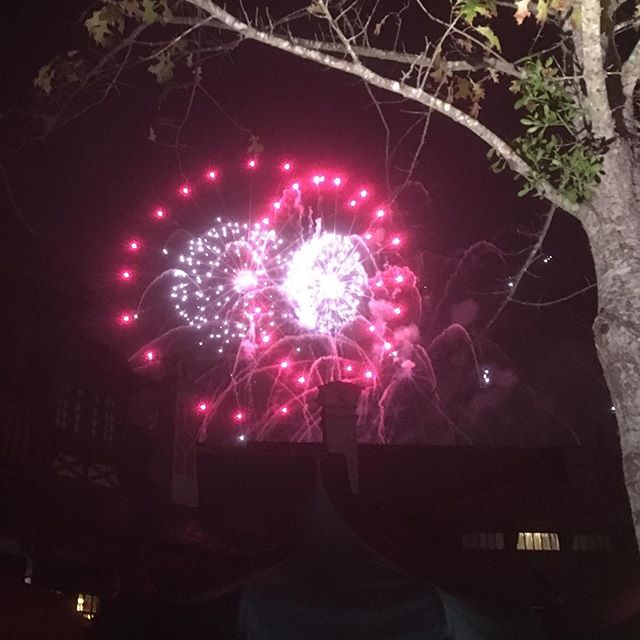 #disneyworld #fireworks