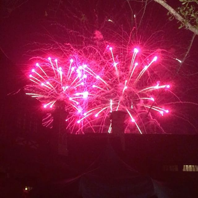 #wdw #disneyworld #fireworks