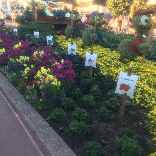 Fruits and veggies in Epcot