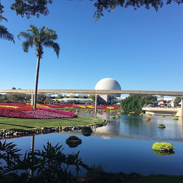 Beautiful picture of the flowers around the water in Epcot