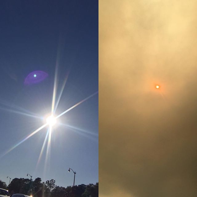 Left- Palm coast sun. Right- Jacksonville sun due to wild fires in Georgia