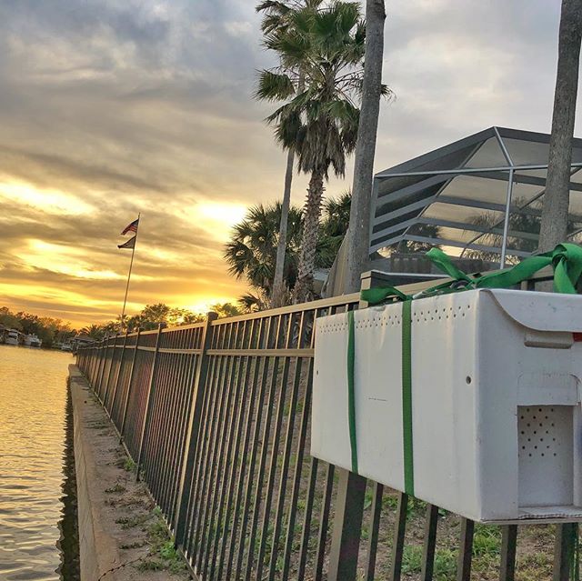 While it snows in NYC, others set up swarm traps along the ICW.